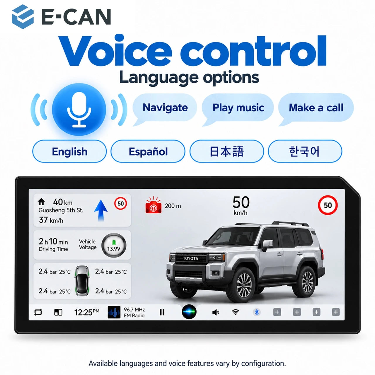 Toyota Prado LC250 12-voice